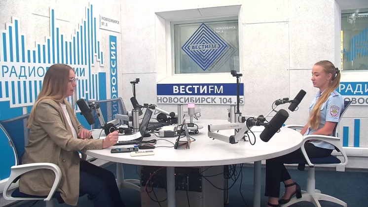 Вектор безопасности: Безопасность пешеходов