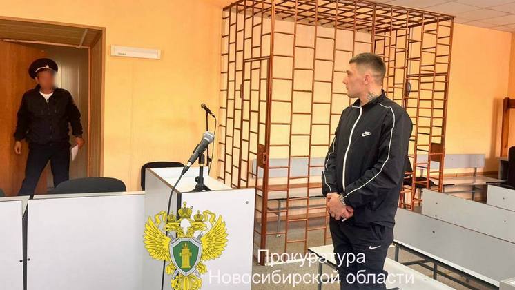 Новосибирца отправили в колонию строгого режима за повторную езду пьяным