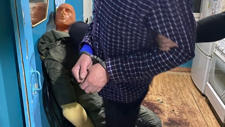 Новосибирец предстанет перед судом за убийство собутыльницы тростью