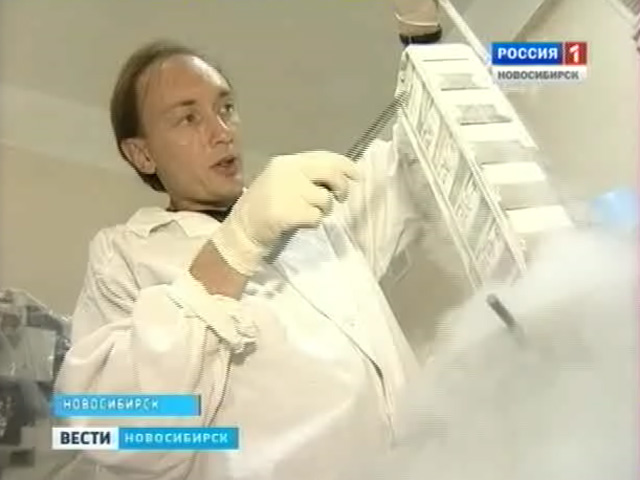 Микробиологам развязали руки. Зачем сибирскому отделению академии наук новый научный институт?