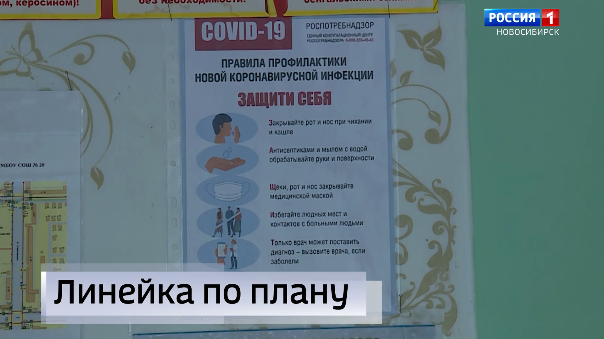 Школьные линейки в Новосибирске 1 сентября пройдут на открытом воздухе