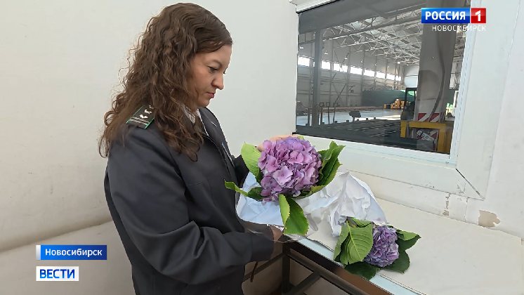 Новосибирские таможенники проверили 12 тонн импортных цветов с начала года