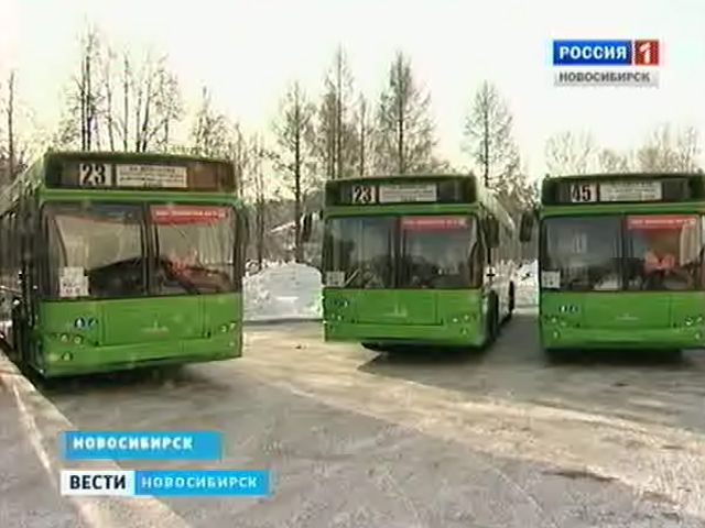 На дороги Новосибирска вышли автобусы, адаптированные для перевозки людей с ограниченными возможностями