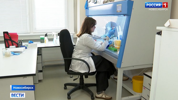 В Новосибирске создают пробиотик для животных из чешуи ракообразных