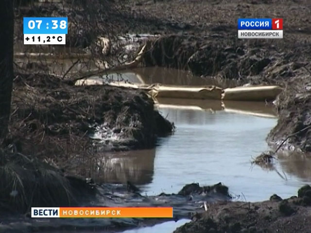 В Новосибирске подводят итоги восьмого Всероссийского экологического фестиваля