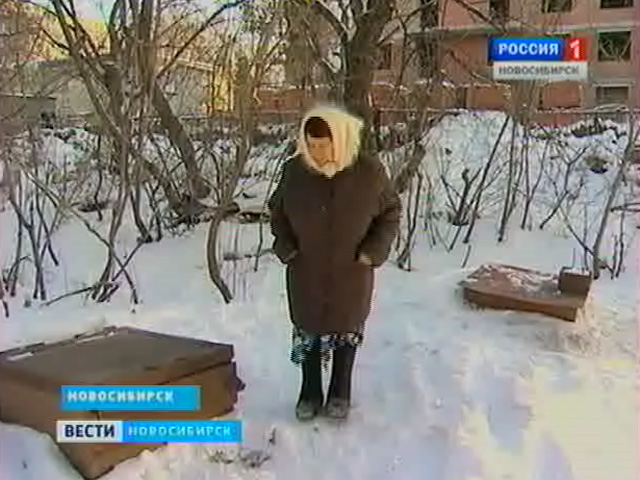 В Новосибирске несколько десятков семей готовы встать на защиту своих овощехранилищ