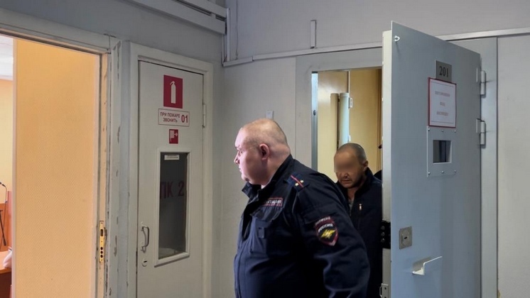 В Новосибирске суд арестовал подозреваемого в изнасиловании двух школьниц