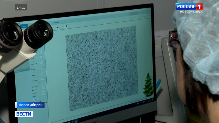 В Новосибирске прошёл Первый Сибирский форум о репродуктивном здоровье