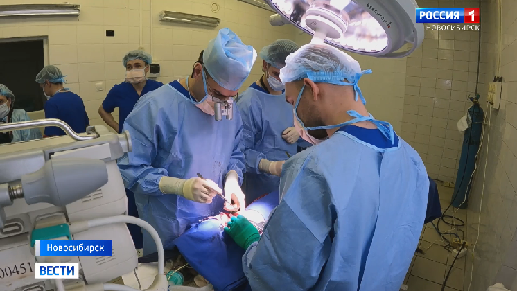 Новосибирские учёные-медики учатся оживлять донорские сердца после остановки