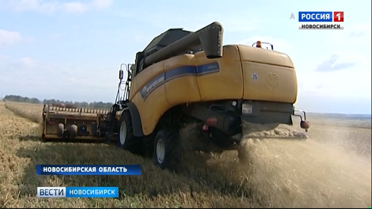 Сельхозпроизводители Новосибирской области приступили к уборочной кампании 