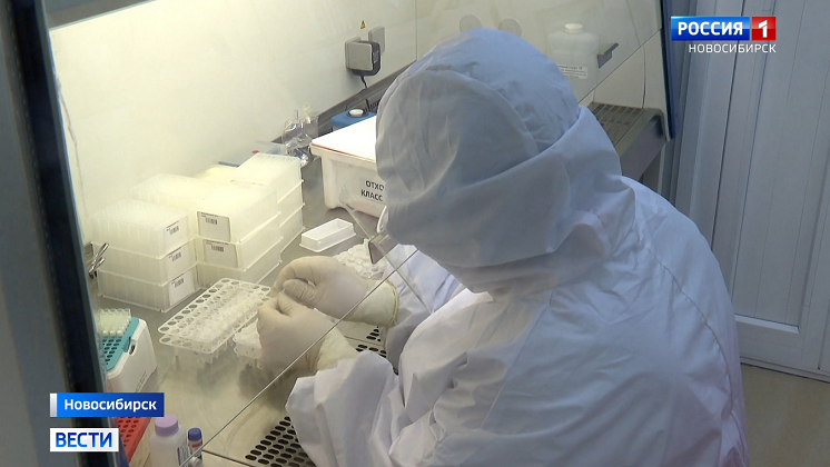 Проводить ПЦР-тесты на COVID-19 будут в Новосибирском центре крови