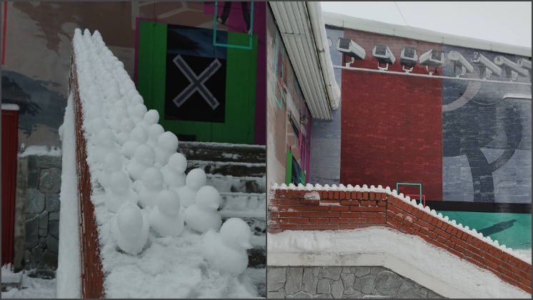 В Новосибирске креативные студентки слепили 162 снежные утки на перилах НГТУ