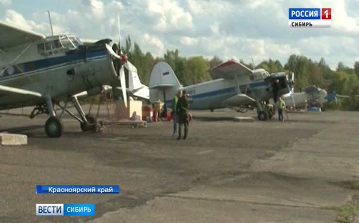 В Красноярском крае сотня пожарных и двадцать два самолета борются с шелкопрядом