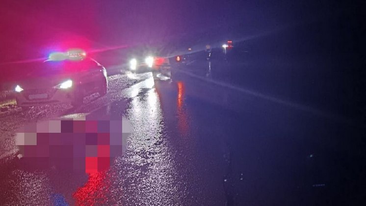 Автомобиль задавил пешехода на трассе под Новосибирском и уехал с места ДТП