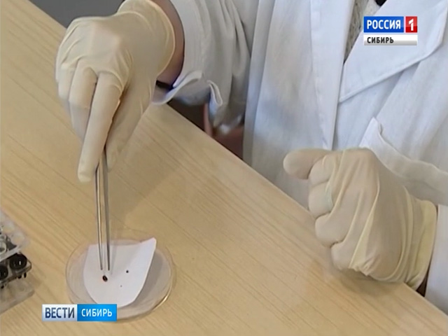Первые случаи укусов клещей регистрируют в Хакасии