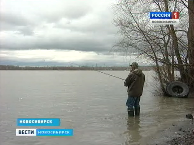 На Новосибирском водохранилище начали действовать ограничения на вылов рыбы