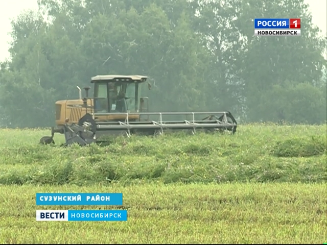 Аграрии Новосибирской области не укладываются в график заготовки кормов