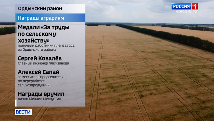 Медали от Мишустина и модульный ФАП: обзор событий в Новосибирской области