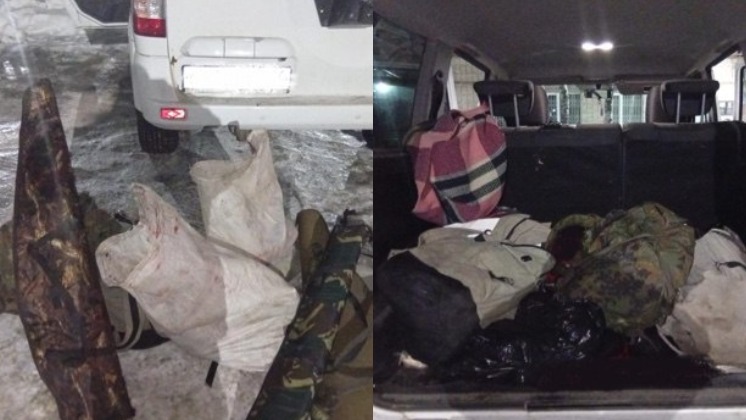 Троих браконьеров поймали за незаконное убийство косуль в Новосибирской области