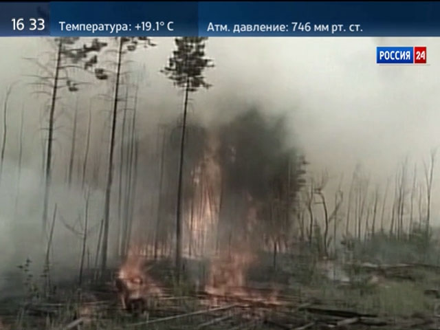 В 13-ти районах Новосибирской области может быть введен противопожарный режим