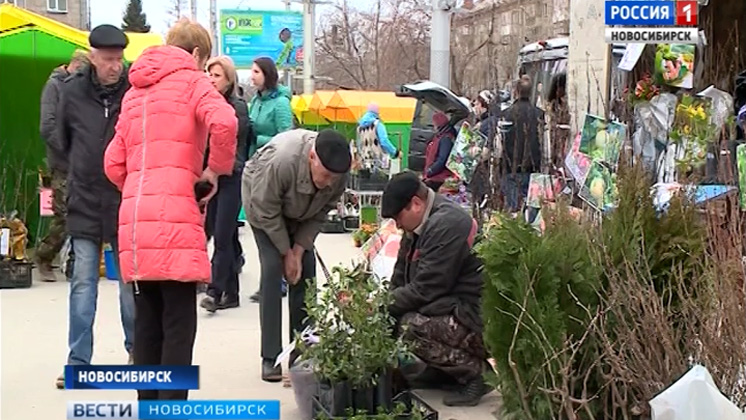 Новосибирских садоводов приглашают на общегородскую ярмарку