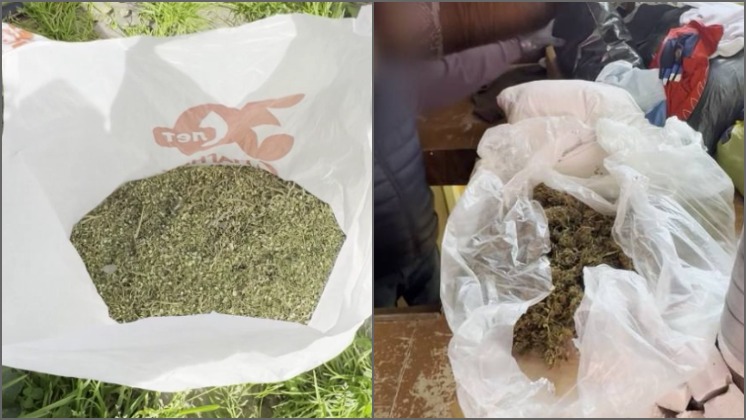 Новосибирцу грозит лишение свободы за хранение конопли на даче