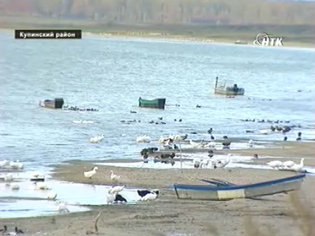 Вести &quot;Эко&quot; за 13.11.2012