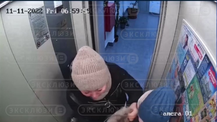 Новосибирский суд прекратил уголовное дело о драке соседок в лифте на глазах у детей