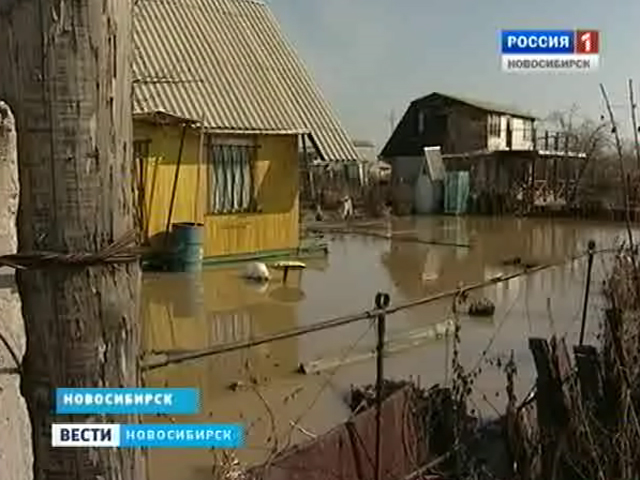Первая волна паводка затопила сотни участков в Нижней Ельцовке