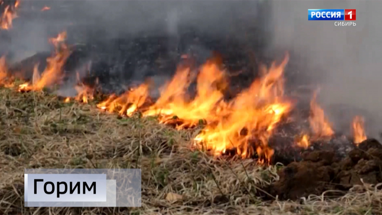 В Иркутской области огнем уничтожено 46 гектаров леса