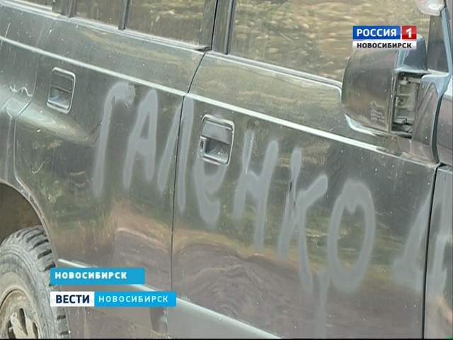В Новосибирске коллекторы облили краской машины соседей должницы