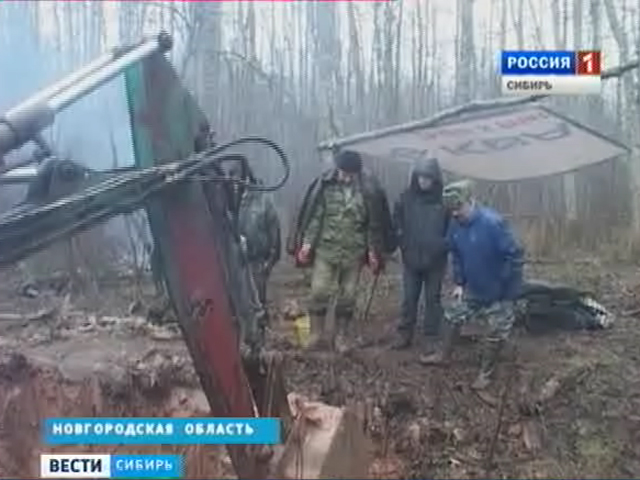 Новгородские поисковики обнаружили обломки самолета, разбившегося в начале Великой Отечественной