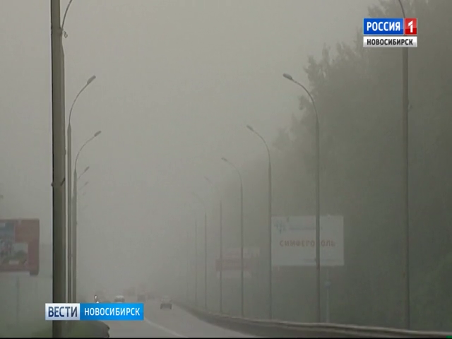 МЧС предупреждает новосибирских автомобилистов об опасности туманов   