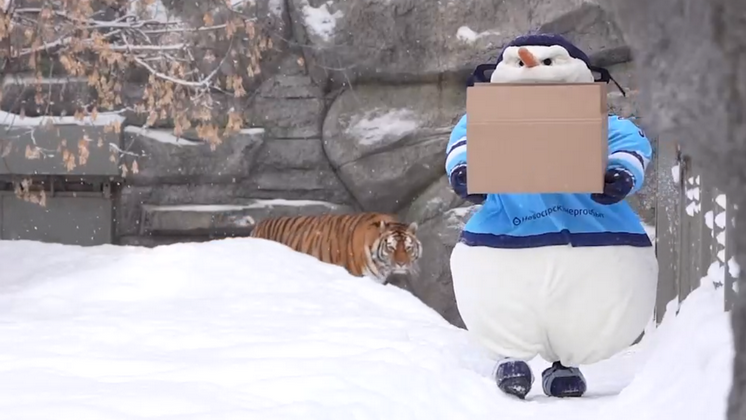 Новосибирский зоопарк и ХК «Сибирь» сняли ролик с амурским тигром и Злым Снеговиком