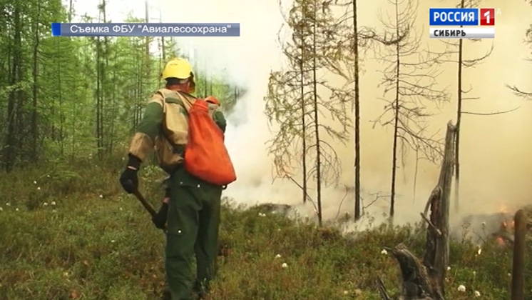 В Сибири горит лес: сложная ситуация в Красноярском крае, Иркутской области и в Бурятии