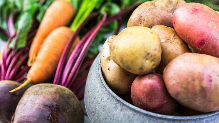 Новосибирские аграрии увеличивают производство картофеля, моркови и капусты