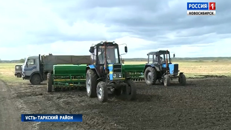 Сельхозпредприятия Усть-Таркского района получат поддержку от областных властей