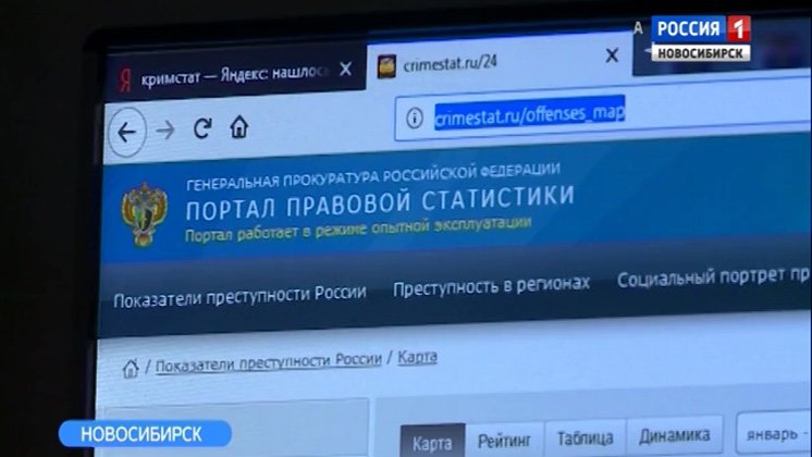 Автоматизированную систему правовой статистики готовят к внедрению в Новосибирске