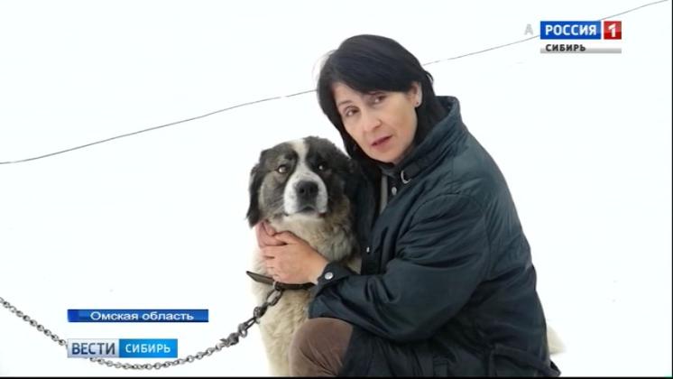 В Омске отдел по отлову бездомных собак возглавила зоозащитница