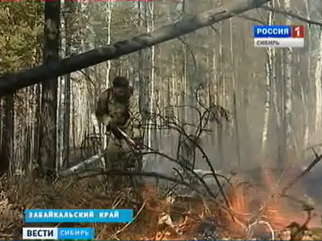 Площадь лесных пожаров в Сибири превышает три тысячи гектаров