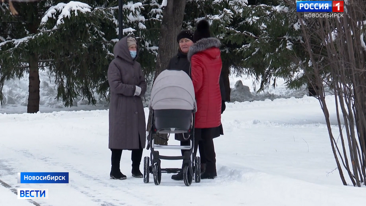 На счета новосибирских семей начали поступать новогодние выплаты
