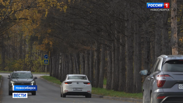 В новосибирском Академгородке внепланово отремонтировали дорогу к Технопарку