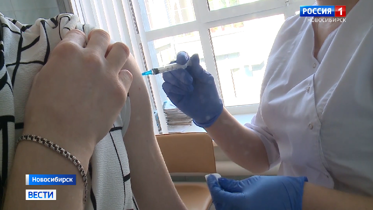 Новосибирские врачи начали делать прививки против клещевого энцефалита