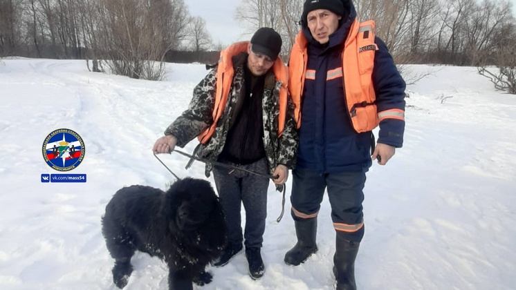 Новосибирские спасатели опубликовали видео спасения собаки с острова