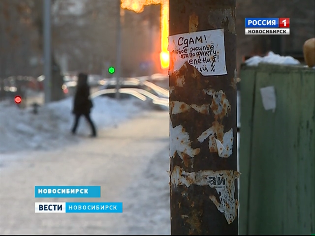 Пестрая расклейка на улицах Новосибирска: кто несет ответственность?