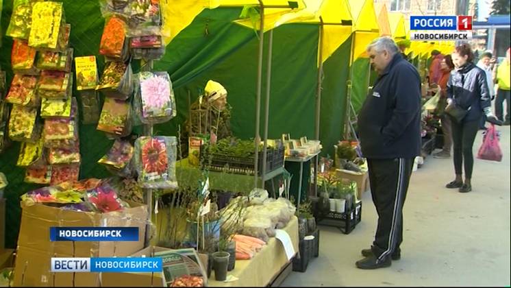 В Новосибирске открыли первую в этом году садоводческую ярмарку