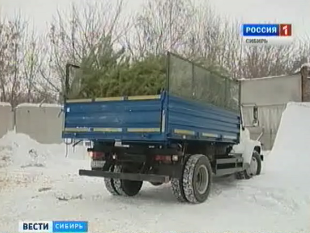 С городских улиц в сибирских регионах начали вывозить новогодние елки