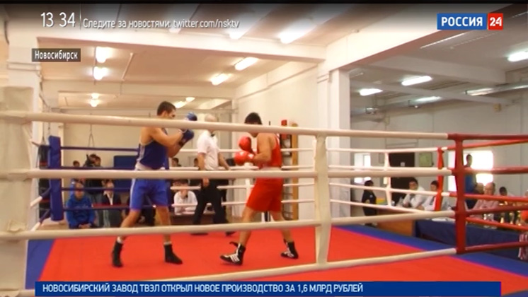 «Спортивная среда»: боксёрский турнир памяти Петра Горбатова в Новосибирске