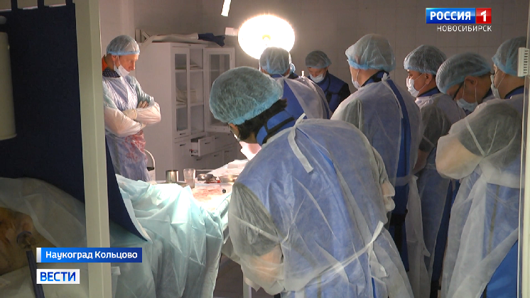 Новосибирские врачи научили столичных коллег удалять тромбы