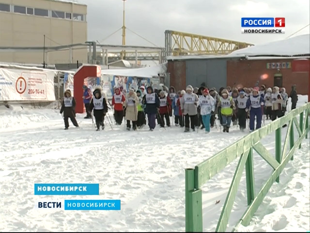 Чемпионат по скандинавской ходьбе для спортсменов старшего возраста провели в Новосибирске